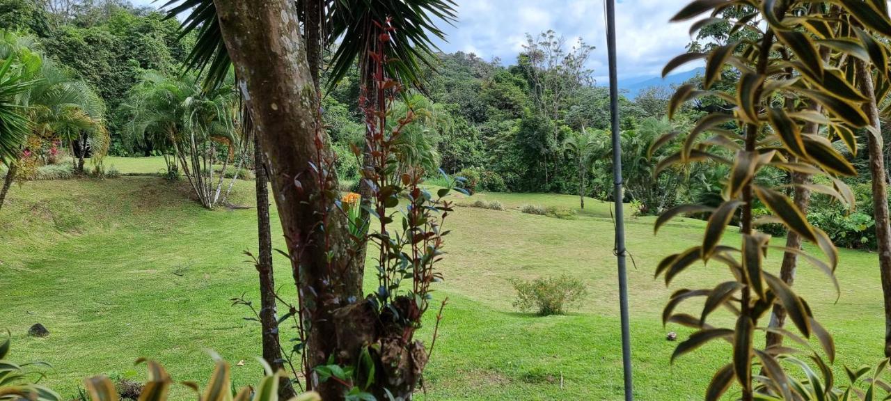 Hotel La Rana de Arenal Nuevo Arenal Exterior foto
