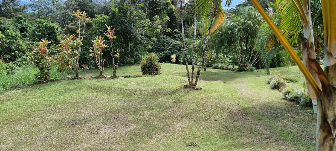 Hotel La Rana de Arenal Nuevo Arenal Exterior foto
