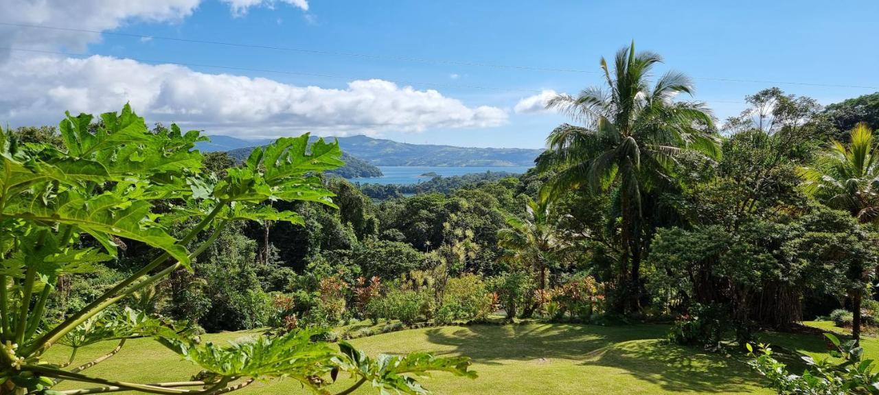 Hotel La Rana de Arenal Nuevo Arenal Exterior foto