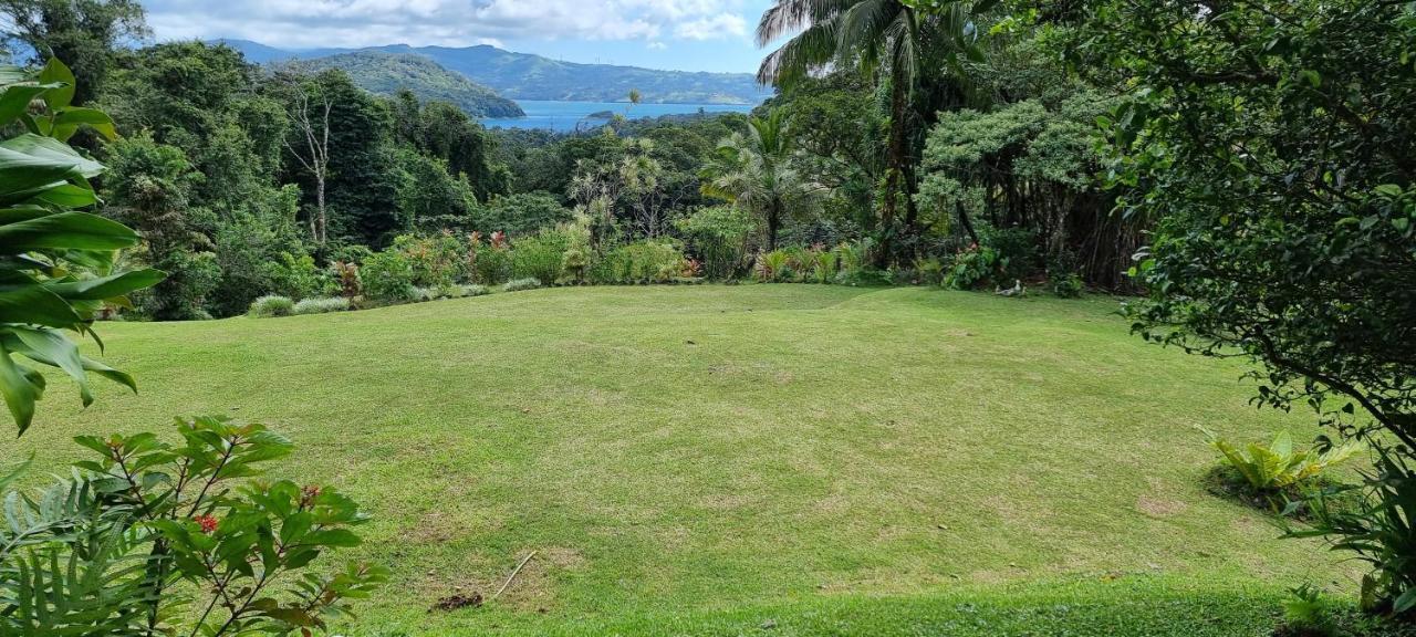 Hotel La Rana de Arenal Nuevo Arenal Exterior foto