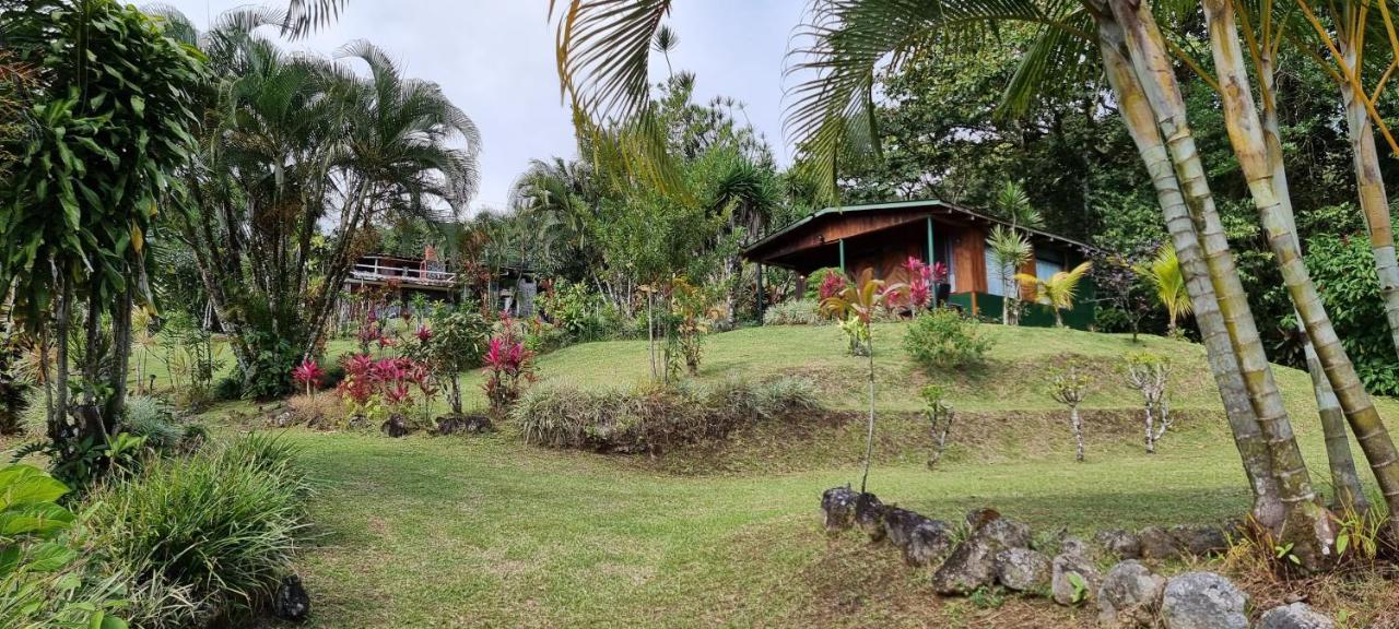 Hotel La Rana de Arenal Nuevo Arenal Exterior foto