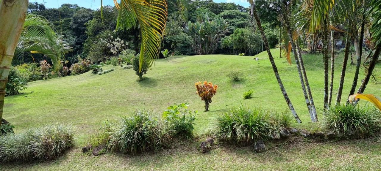 Hotel La Rana de Arenal Nuevo Arenal Exterior foto