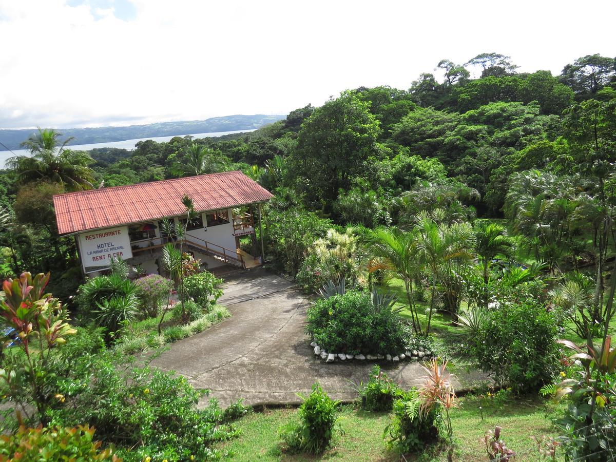 Hotel La Rana de Arenal Nuevo Arenal Exterior foto