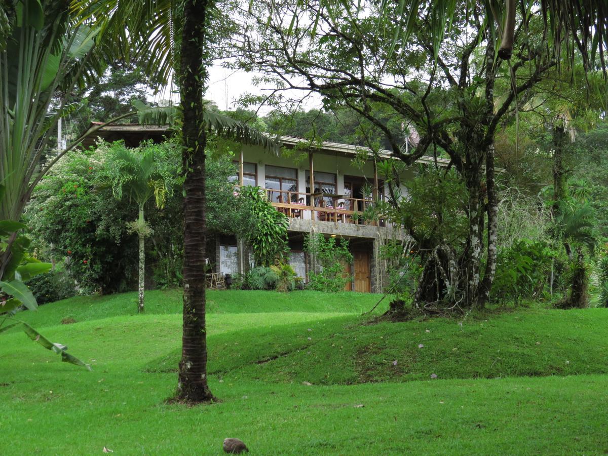 Hotel La Rana de Arenal Nuevo Arenal Exterior foto