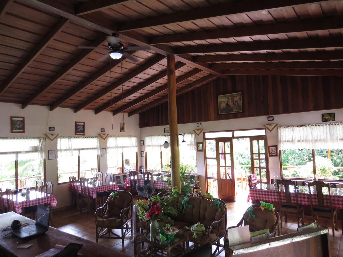 Hotel La Rana de Arenal Nuevo Arenal Exterior foto