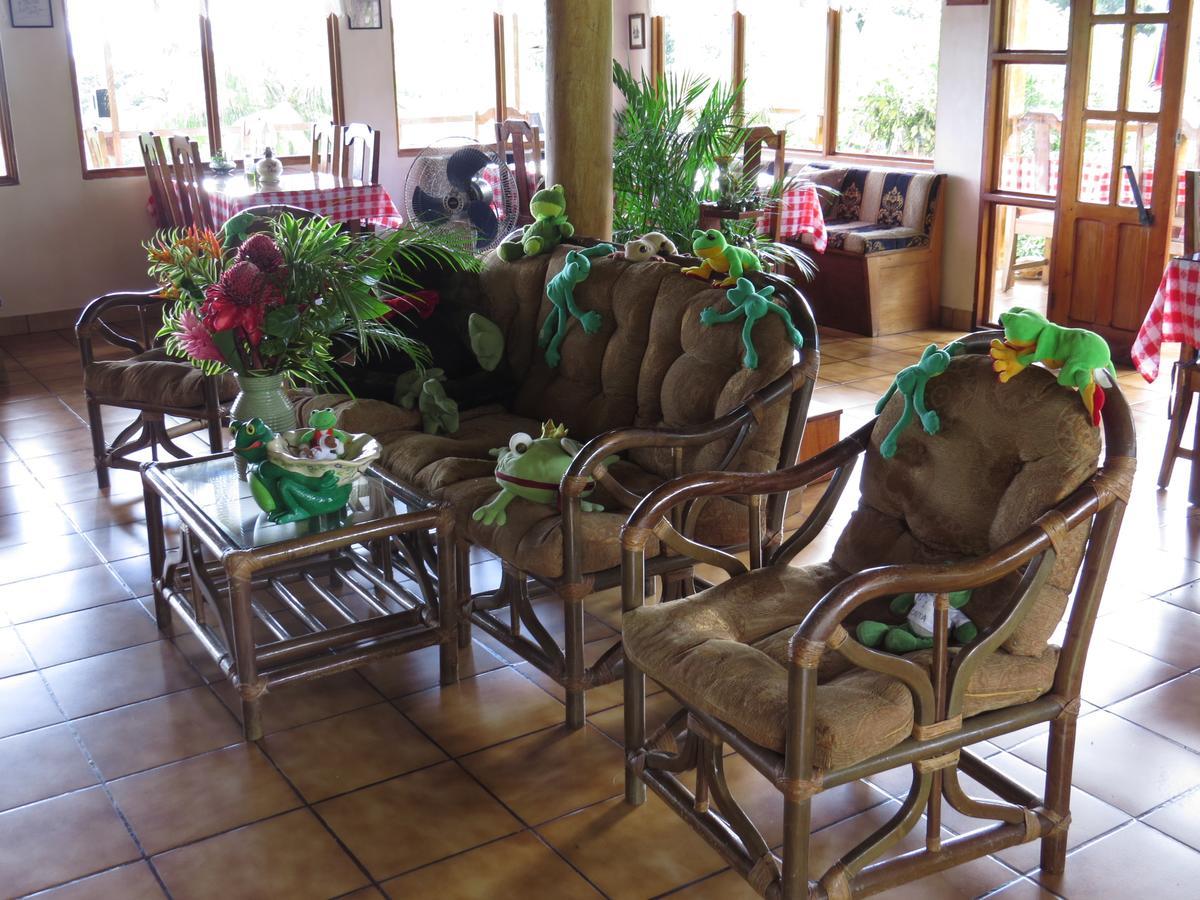 Hotel La Rana de Arenal Nuevo Arenal Exterior foto