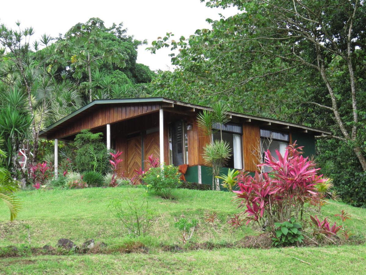 Hotel La Rana de Arenal Nuevo Arenal Exterior foto