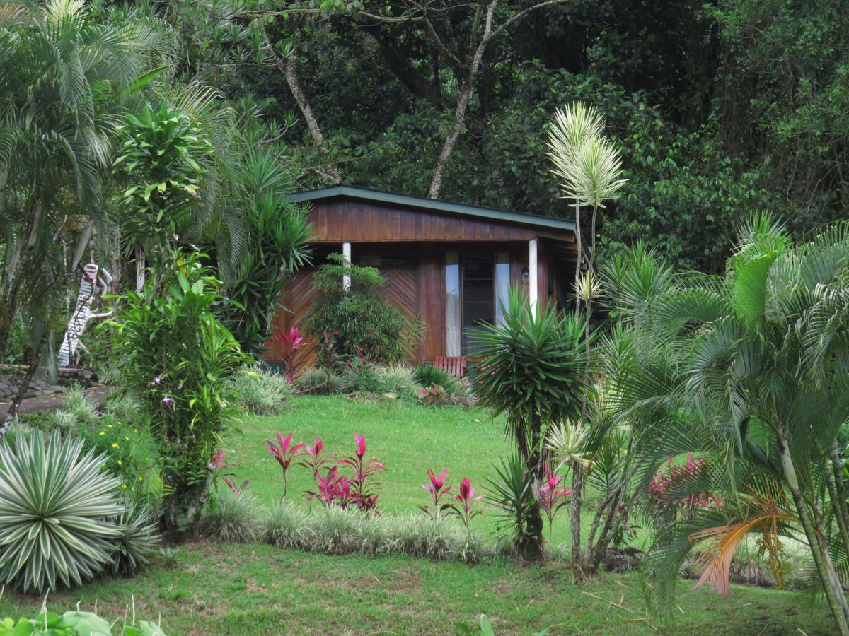Hotel La Rana de Arenal Nuevo Arenal Exterior foto